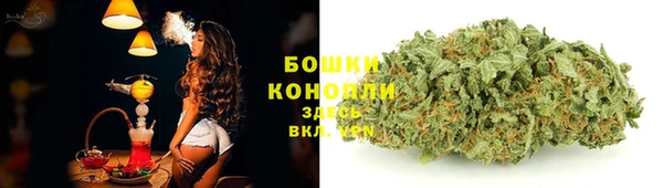 ешки Арсеньев