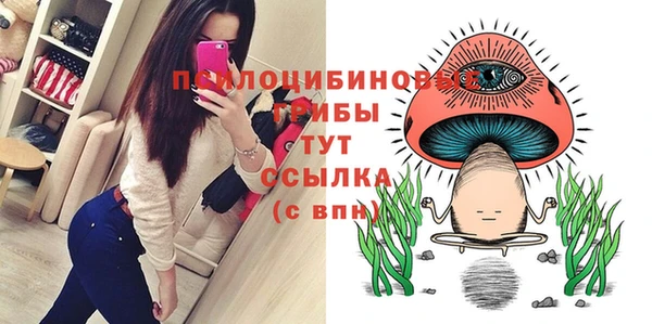 ешки Арсеньев