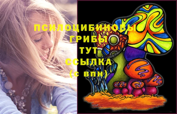 ешки Арсеньев