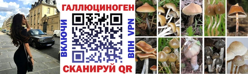 Галлюциногенные грибы Cubensis  Усть-Кут 